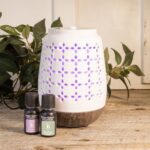 Gardens Cool Mist Ultrasonic Aroma Diffuser - Image 2