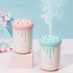 Aroma Diffuser Hydrating Instrument